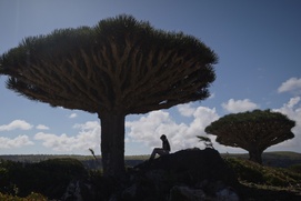 Image du film Les Chrysalides