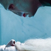 Une scène du film <em>Harry Potter and the Deathly Hallows: Part 1</em>