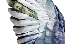 Affiche du film Million Dollar Pigeons