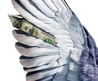 Affiche du film Million Dollar Pigeons