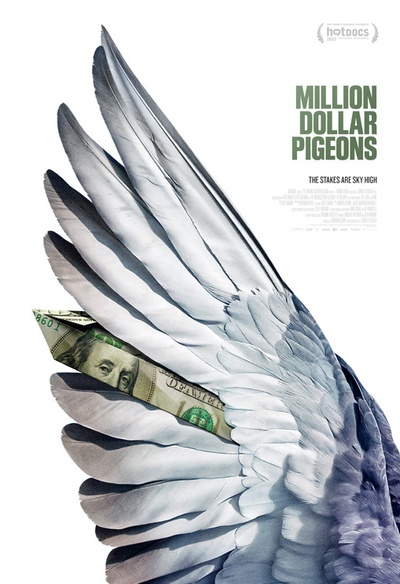 Affiche du film Million Dollar Pigeons