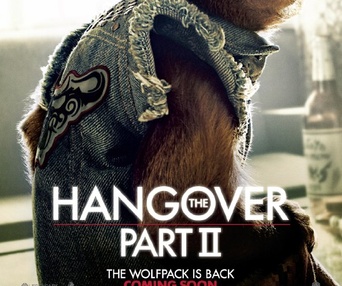 Affiche du film The Hangover Part II