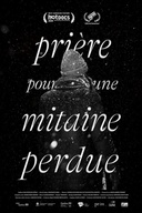 Affiche du film Prière pour une mitaine perdue