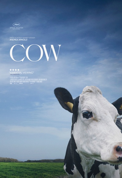 Affiche du film Cow