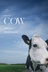Affiche du film Cow