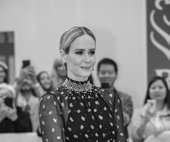 Première du film The Goldfinch au TIFF 2019