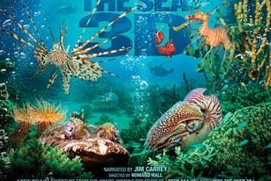 Affiche du film Under the Sea 3D