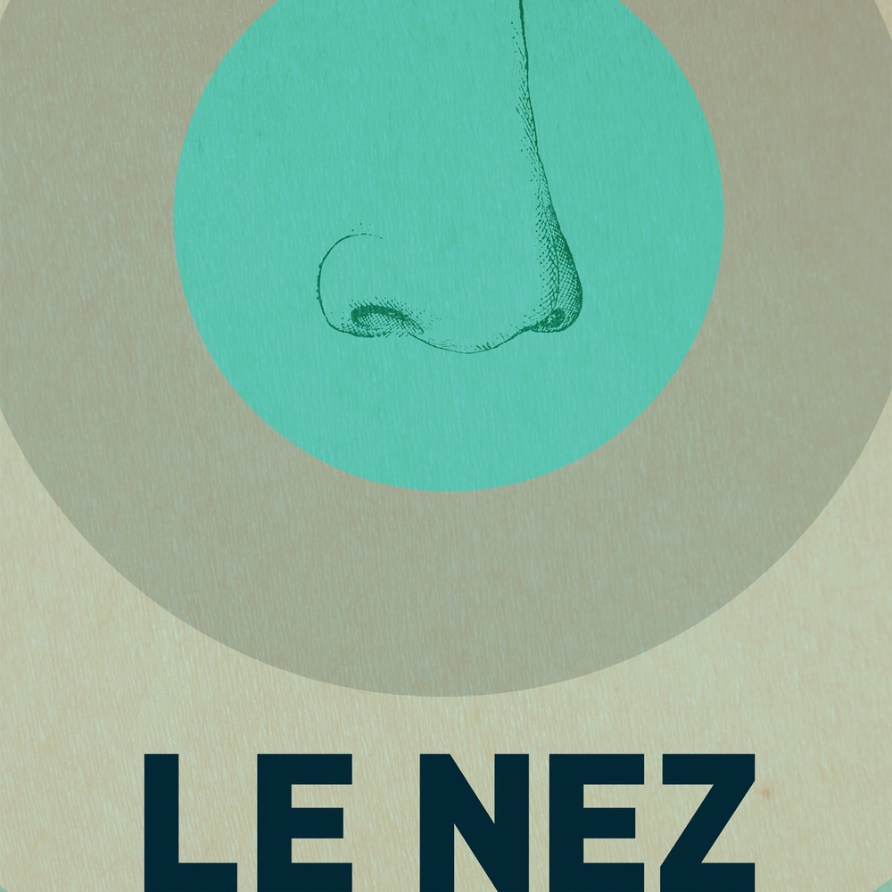 Affiche du film Le nez