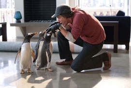Une scène du film Mr. Popper's Penguins Une scène du film Mr. Popper's Penguins