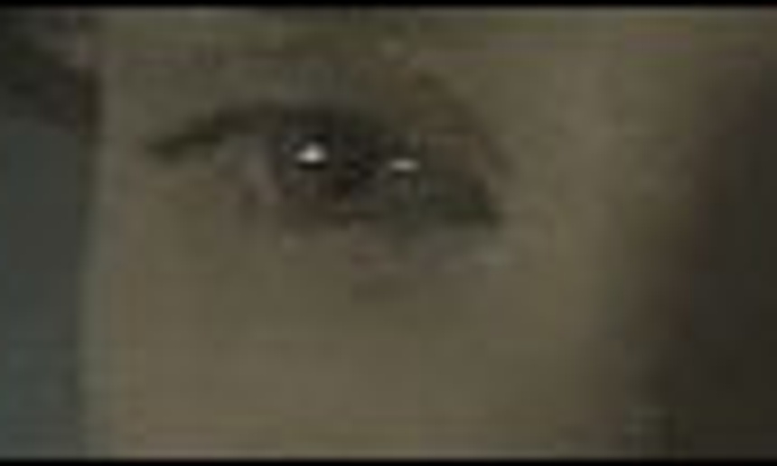Bande-annonce : Manderlay de Lars Von Trier