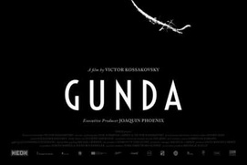 Affiche du film Gunda