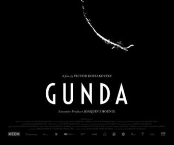 Affiche du film Gunda