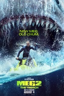 Affiche du film Mégalodon 2 : La fosse