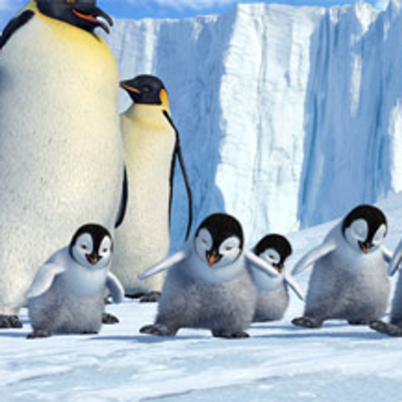 Une scène de Happy Feet