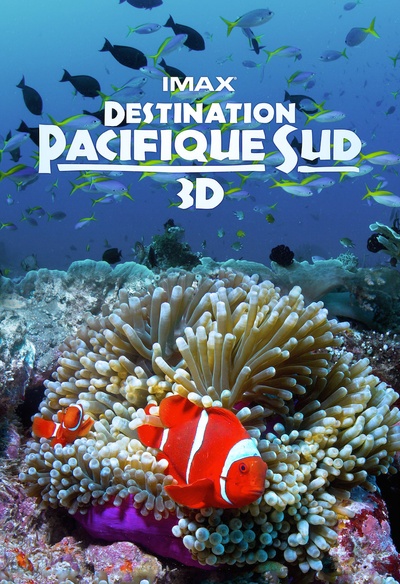 Affiche du film Destination paicifique sud