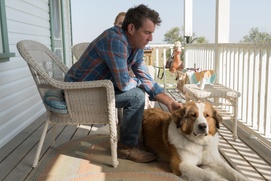 Une scène du film A Dog's Journey Une scène du film A Dog's Journey