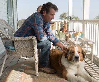 Une scène du film A Dog's Journey
