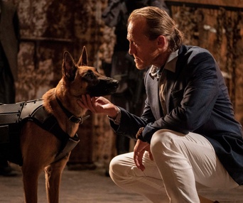 Une scène du film John Wick : Chapitre 3 - Parabellum