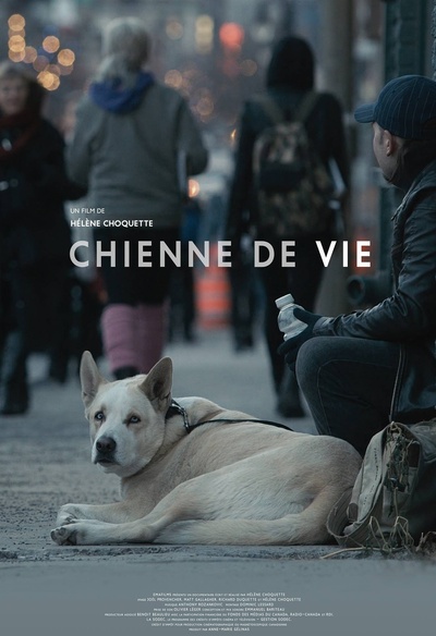 Affiche du film Chienne de vie