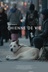 Affiche du film Chienne de vie