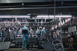 Une scène du film Poisoned: The Dirty Truth About Your Food