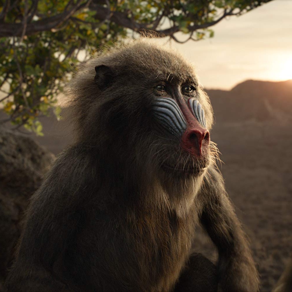 Une scène du film The Lion King