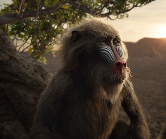 Une scène du film The Lion King