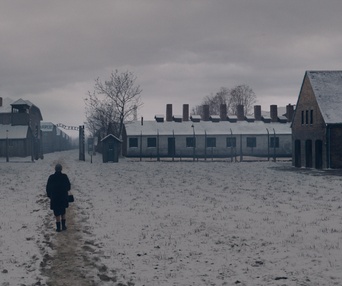 Image du film Simone : Le voyage du siècle