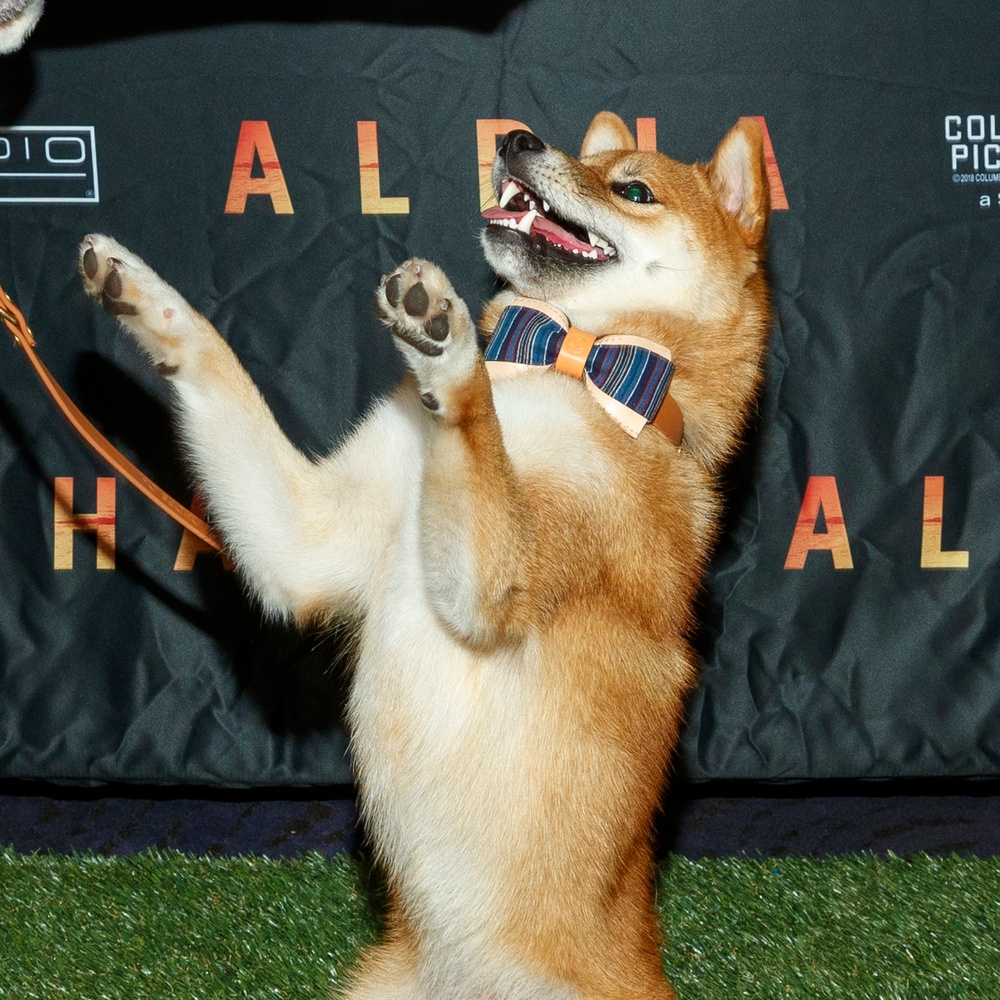 Première du film Alpha à Los Angeles