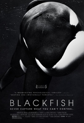 Blackfish l'orque tueuse