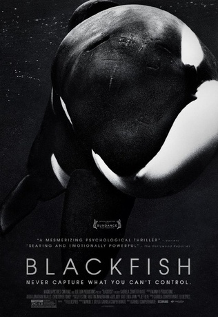 Blackfish l'orque tueuse