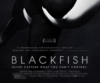 Affiche du film Blackfish