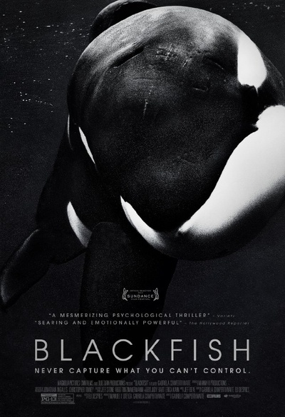 Affiche du film Blackfish