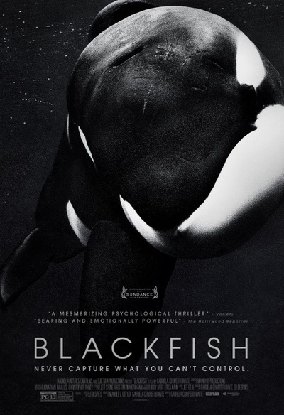 Affiche du film Blackfish