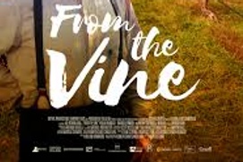 Affiche du film From the Vine