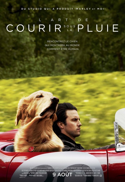 Affiche du film The Art of Racing in the Rain