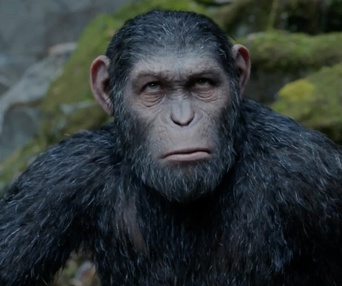Une scène du film War for the Planet of the Apes