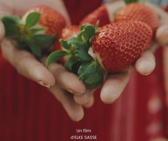 Image du film Les cueilleurs