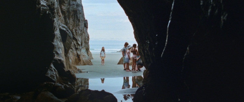 Image du film Seagrass