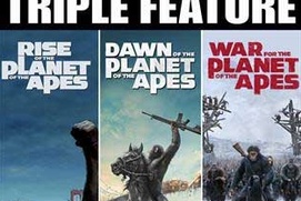Affiche du film Apes Triple Feature