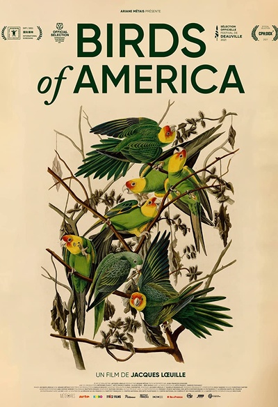 Affiche du film Birds of America