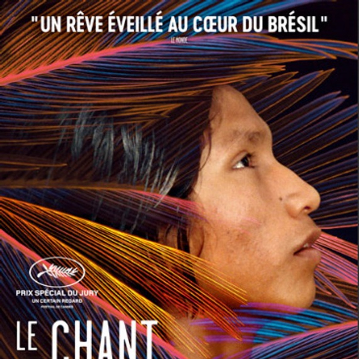 Affiche du film Le chant de la forêt