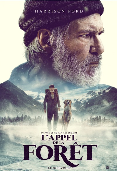 Affiche du film Call of the Wild