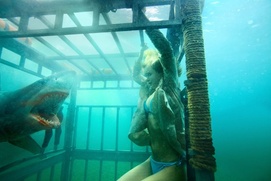 Sara Paxton dans le film Shark Night 3D Sara Paxton dans le film Shark Night 3D