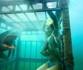 Sara Paxton dans le film Shark Night 3D