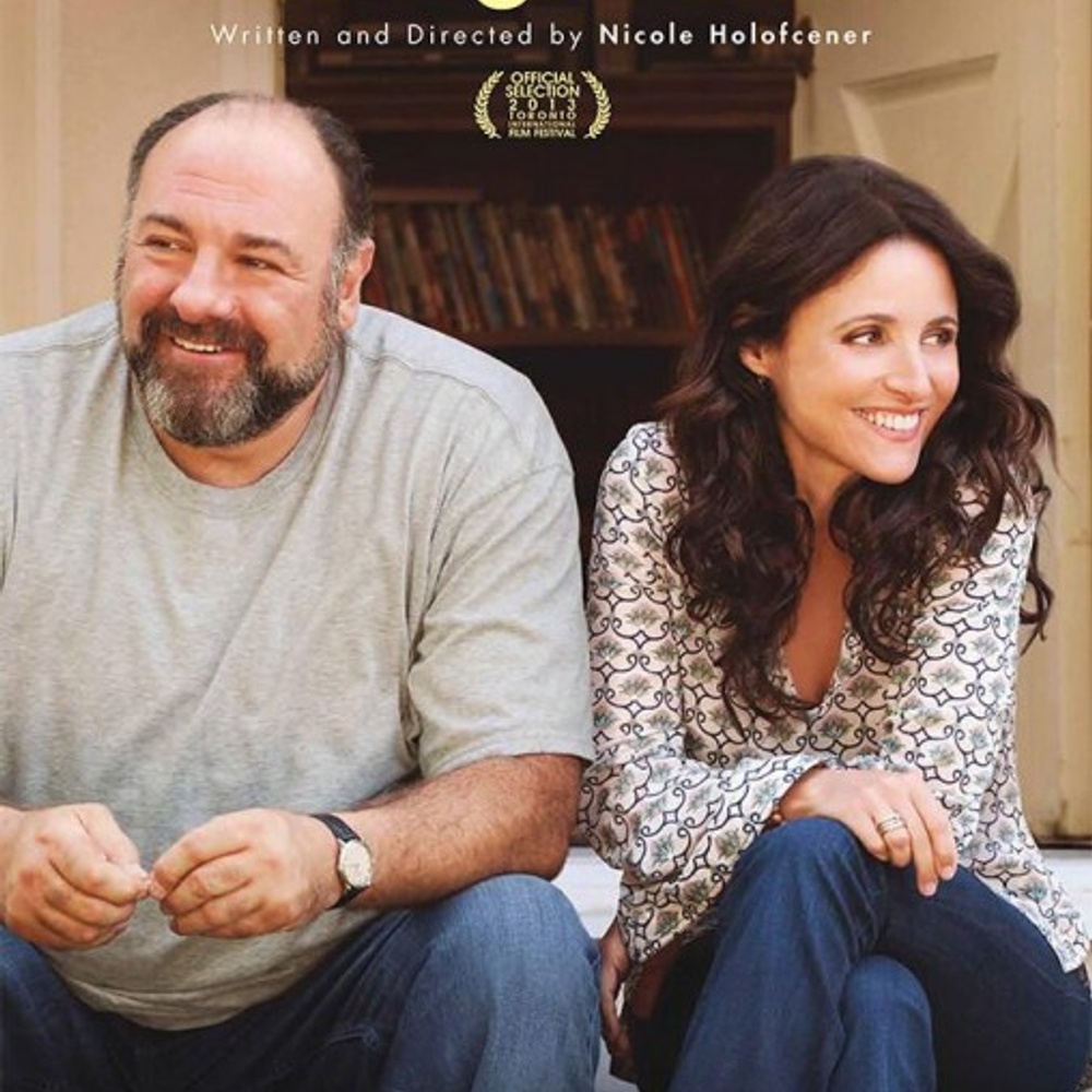 Affiche du film Enough Said