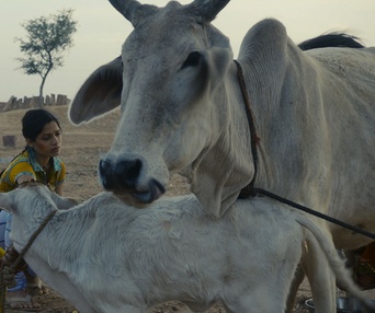 Une scène du film Trishna