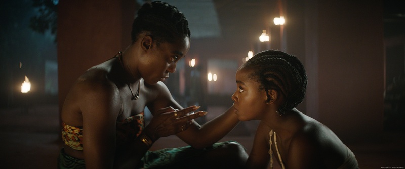 Image du film The Woman King