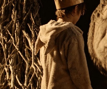 Scène du film Where The Wild Things are