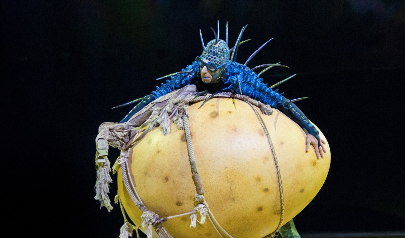 OVO du Cirque du Soleil : Des papillons dans l'estomac et des étoiles dans les yeux